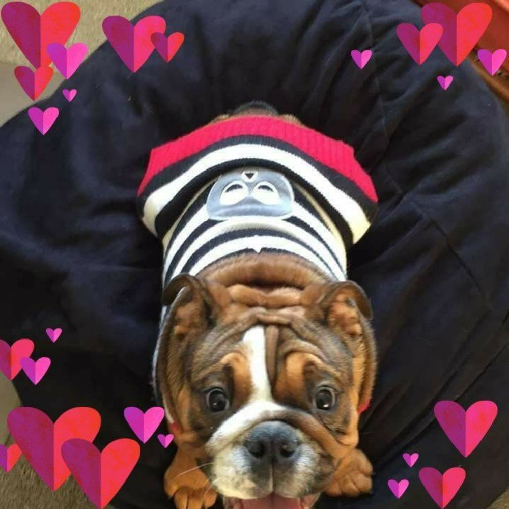 Meet your Posher, Anna